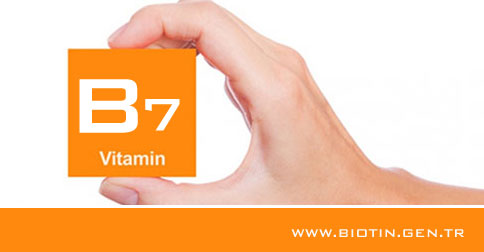 b7-vitamini